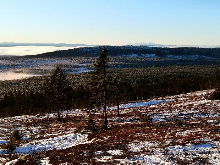 The Scandinavian Mountains Green Belt, credit: G. Mikusiński