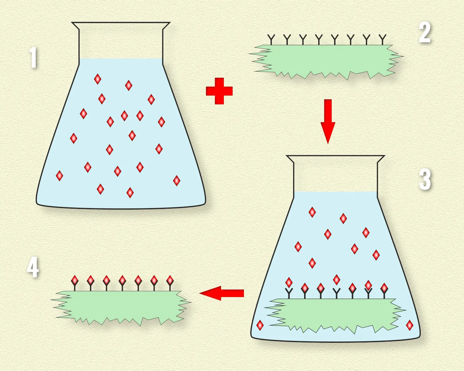 The synthesis of new material using a solid solvent. A substrate covered with a system of uniformly distributed anchors is immersed in a solution containing the desired atoms or molecules, which are then captured from the solution by the anchors. (Source: IFJ PAN)