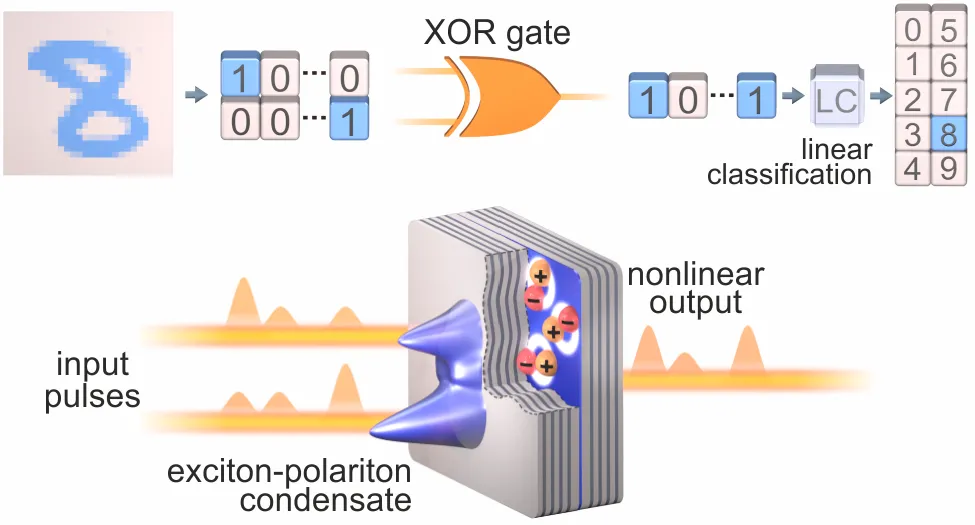 Schemat ideowy zastosowania kondensatów polarytonów ekscytonowych jako elementu nieliniowej bramki optycznej XOR. Binarna sieć neuromorficzna została zrealizowana z bramek XOR i zastosowana do rozpoznawania odręcznie pisanych cyfr ze zbioru danych MNIST. Rys: Mateusz Król, Wydział Fizyki UW, R. Mirek et al., Nano Letters 2021 
