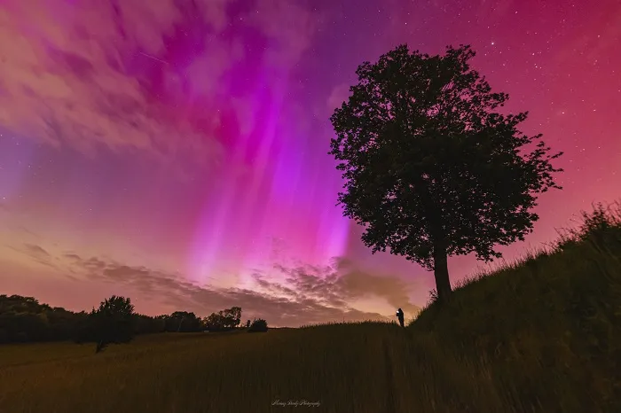 NASA APOD May 12, 2024. Red Aurora over Poland. Credit: Mariusz Durlej