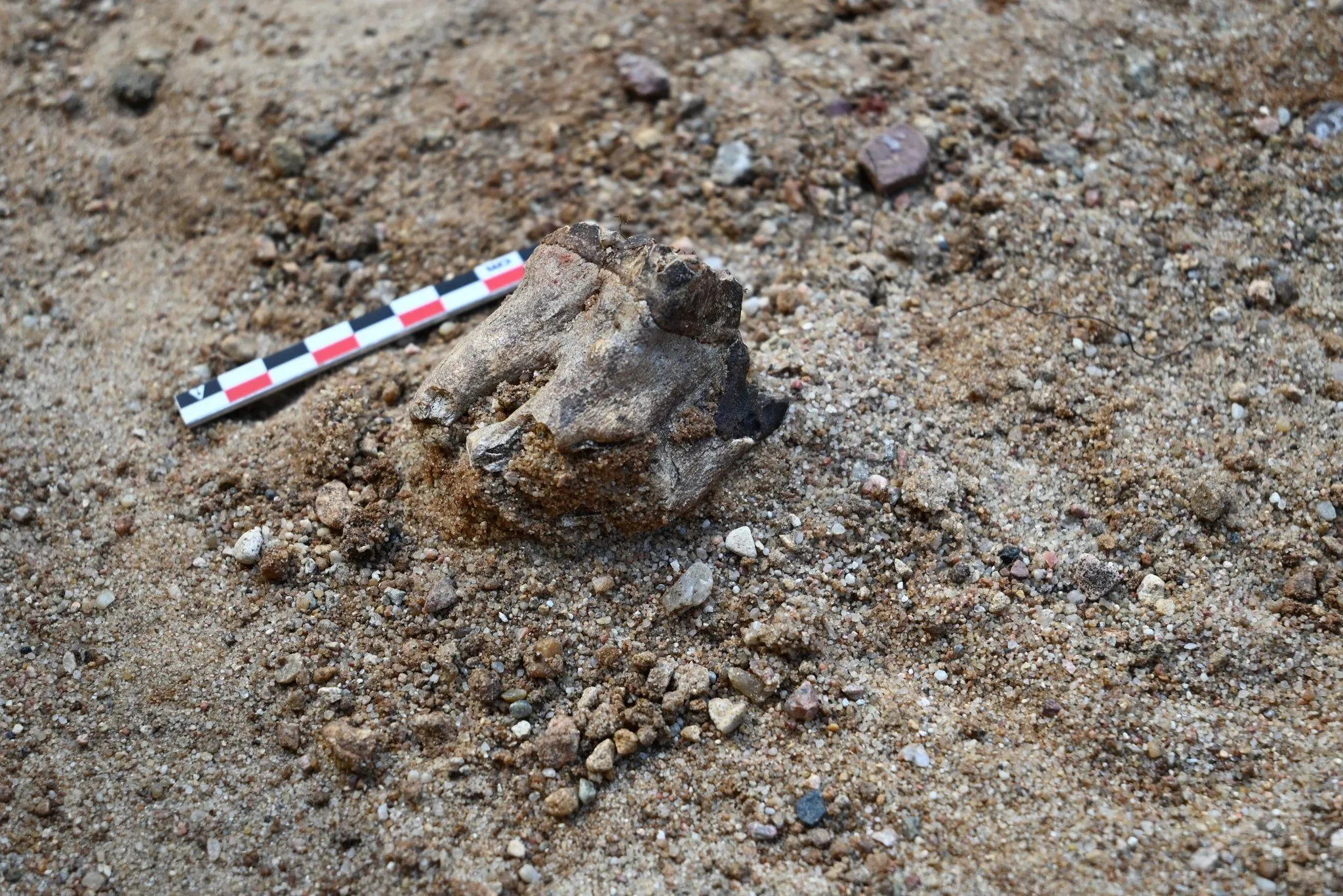 Credit: Faculty of Archaeology of the University of Warsaw