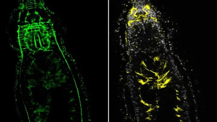 Photo from press release