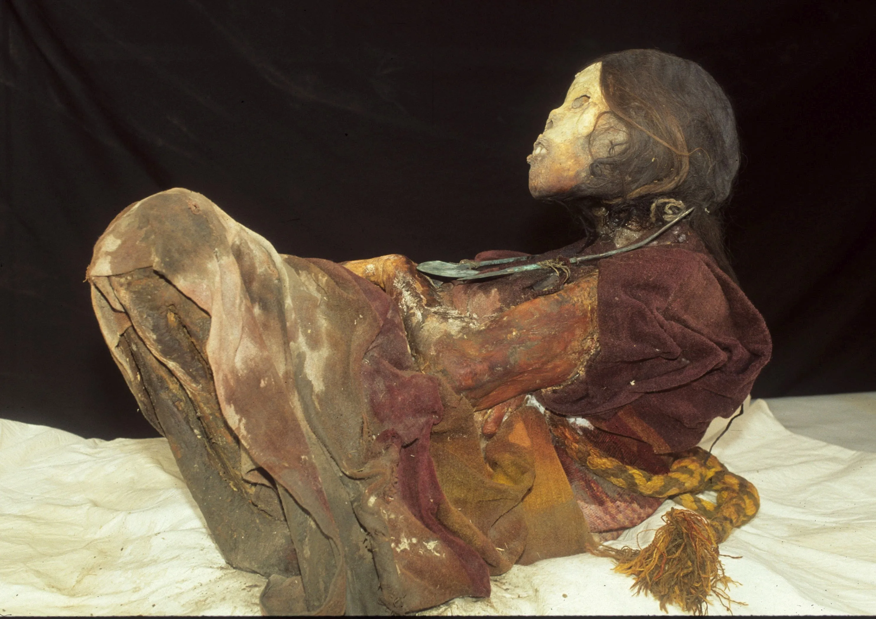 Credit: Dagmara Socha