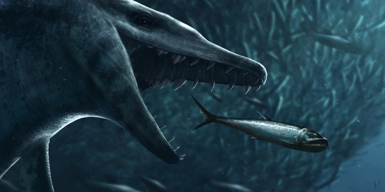 Artist's impression of a whale from the Lublin region hunting schooling fish. Credit: Marcin Ambrozik.