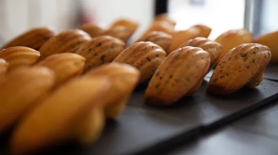 Madeleines, Adobe Stock