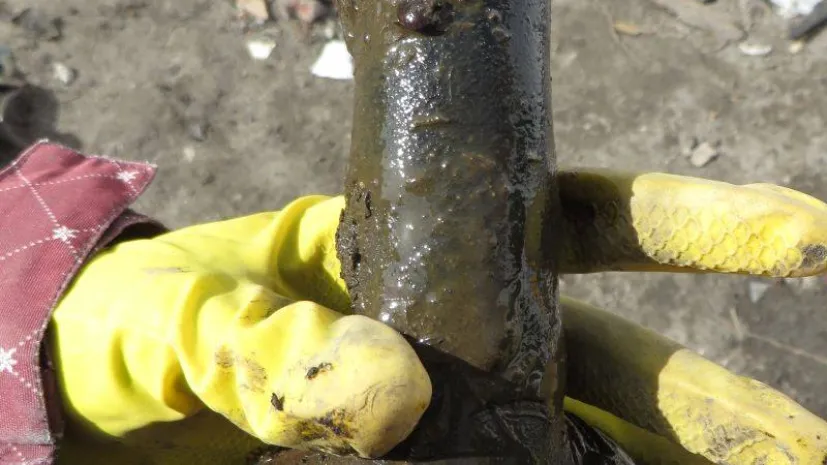 Fot. Wojewódzki Urząd Ochrony Zabytków w Gdańsku