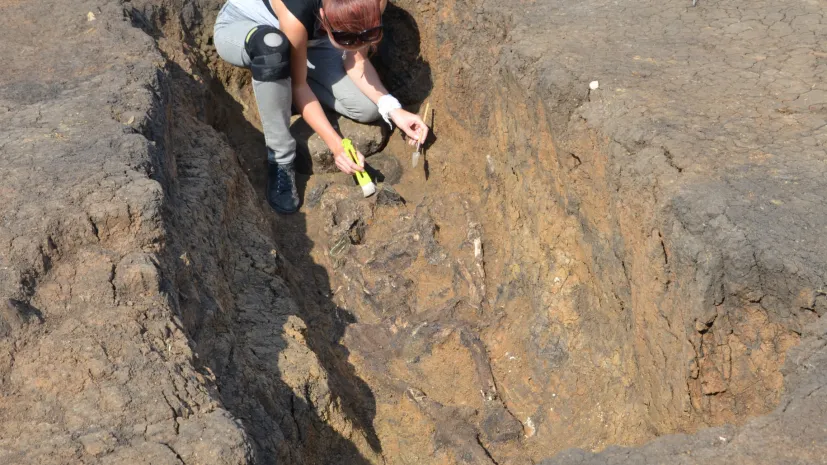 Fot. Badania wyjątkowego grobu, fot. A. Půlpánová-Reszczyńska