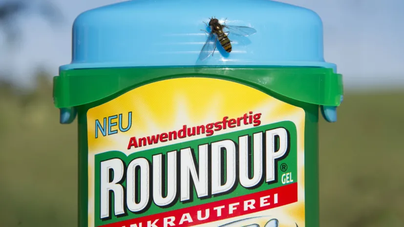 Herbicyd Roundup. Fot. PAP/EPA/STEFFEN SCHMIDT