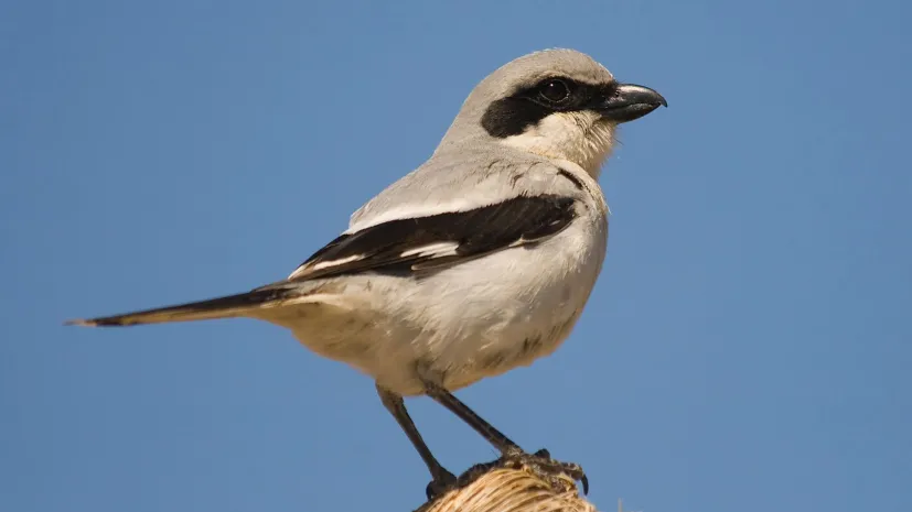 Konrad - stock.adobe.com ©Konrad - stock.adobe.com /