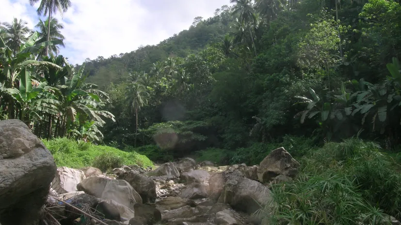 autor: dr Radomir Jaskuła UŁ