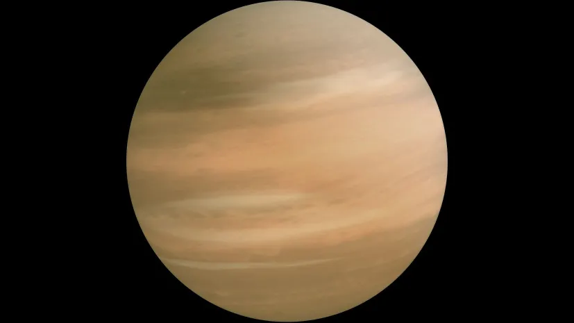 Fot. materiały prasowe