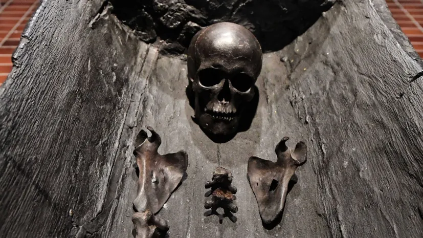 Szkielet najstarszej „kołobrzeżanki” w Muzeum Oręża Polskiego w Kołobrzegu. PAP/Marcin Bielecki 27.09.2019