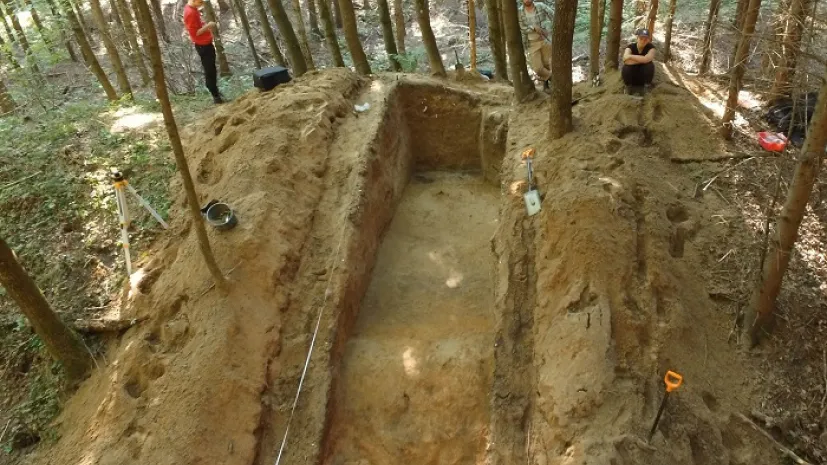 Widok na wykop przecinający jeden z wałów zewnętrznych grodziska (fot. Daniel Skoczylas)