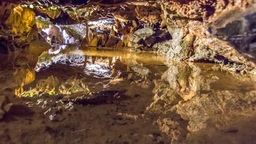 Wnętrze jaskini w Cheddar Gorge. Fot. Adobe Stock