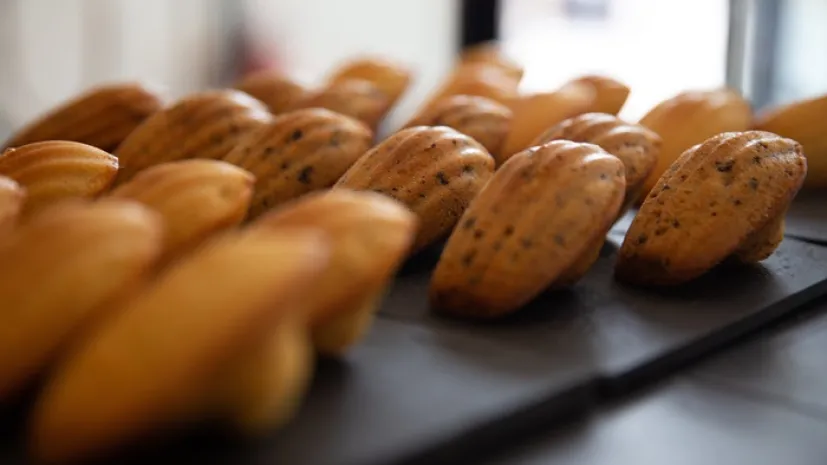 Madeleines, Adobe Stock