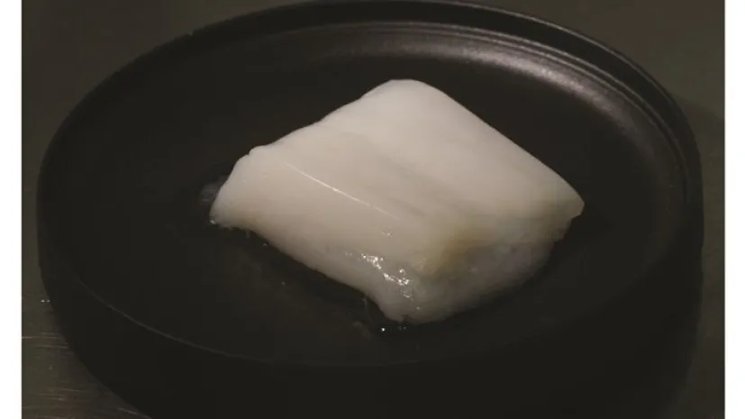 “Kurczak” uzyskany w bioreaktorze HFB  Fot. Shoji Takeuchi, The University of Tokyo