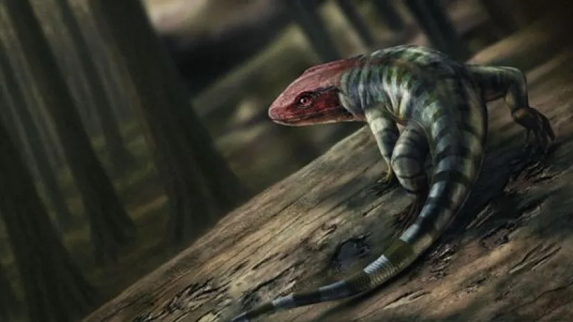 What could the ancestor of humans, birds and lizards (but not frogs) have looked like? Visualization of a 350 million year old vertebrate that could have left marks on an Australian rock. Credit: Marcin Ambrozik