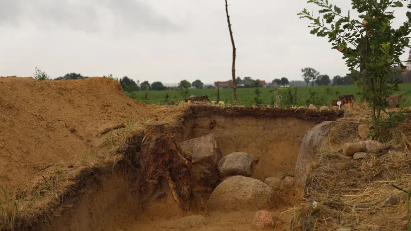 Źródło: Zespół Parków Krajobrazowych Województwa Wielkopolskiego (ZPKWW)