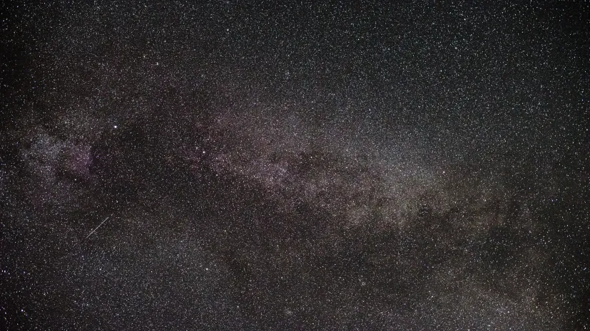 Adobe Stock