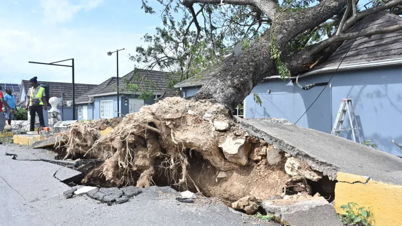 29.10.2025  EPA/Rudolph Brown