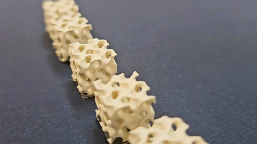 Fot. materiały prasowe Politechnika Krakowska