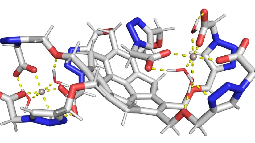 Kompleks związek-kation. Źródło: ACS