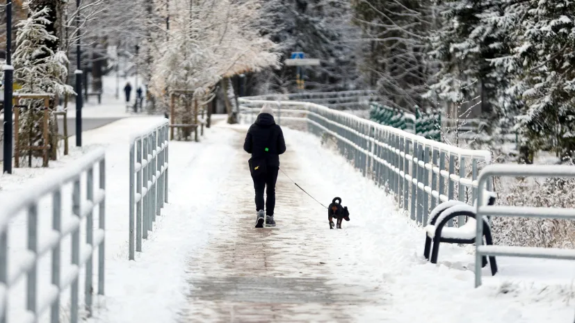 19.11.2024 PAP/Grzegorz Momot