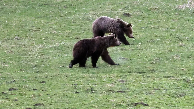 12.04.2025 PAP/Grzegorz Momot