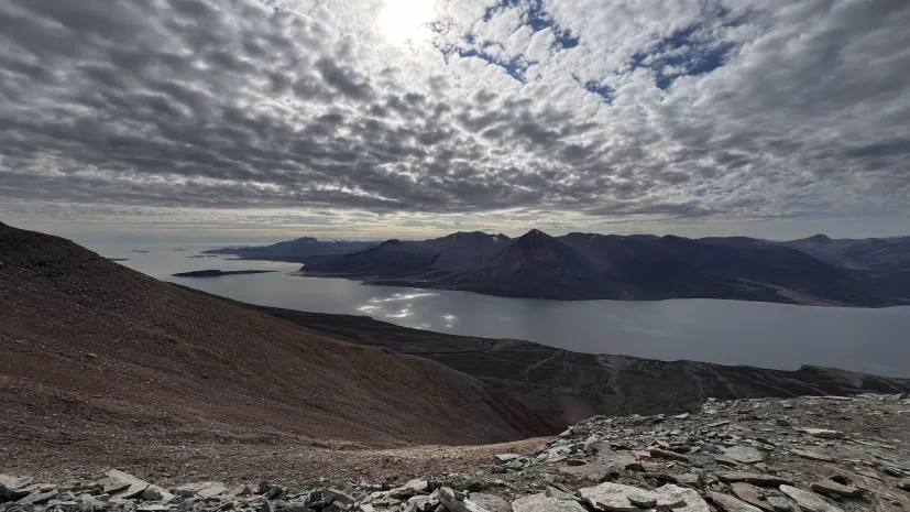 Fot. materiały prasowe