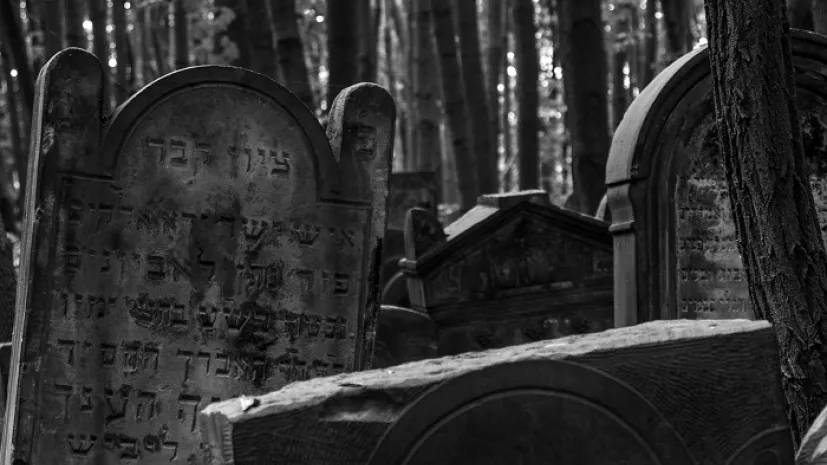 Źródło: Adobe Stock