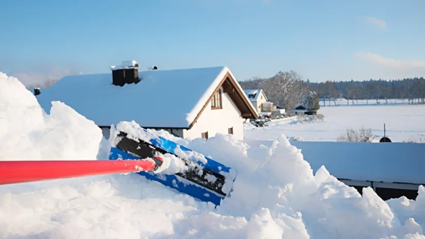 Źródło: Adobe Stock