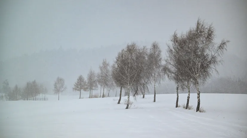 11.01.2026 PAP/Darek Delmanowicz