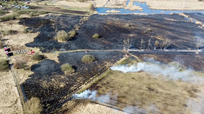 Na zdjęciu z drona miejsce pożaru ok. trzech hektarów łąk w Szczecinie (mb/amb) PAP/Marcin Bielecki