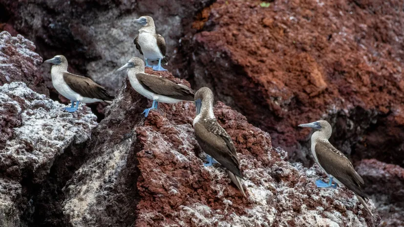 EPA/Jose Jacome 08.03.2024 