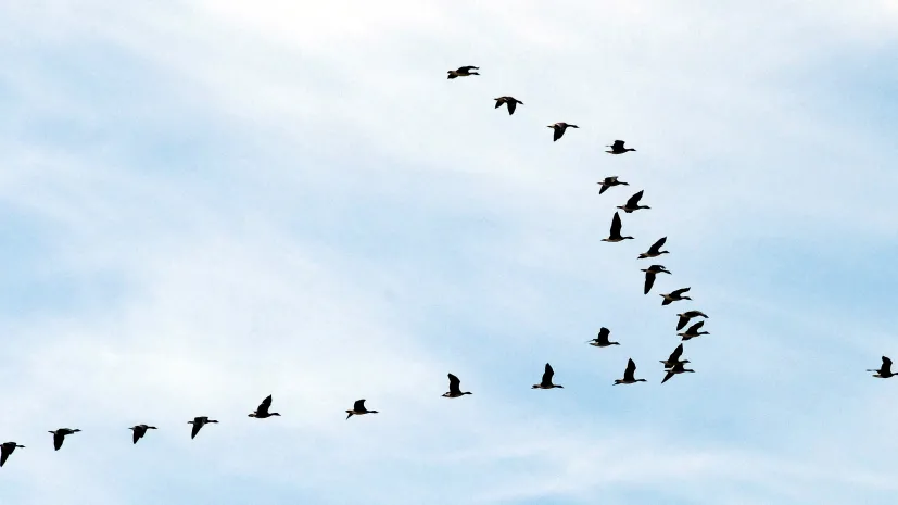 2007.10.15 PAP/Darek Delmanowicz