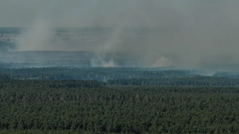 Józefów (pow. biłgorajski), 06.05.2026. Pożar lasu w pow. biłgorajskim, 6 bm. Od wtorkowego popołudnia strażacy walczą z pożarem lasu w pow. biłgorajskim w nadleśnictwie Józefów, który objął ok. 250 ha. W trakcie akcji rozbił się samolot gaśniczy Dromader, w wyniku czego zginął pilot maszyny.  PAP/Wojtek Jargiło