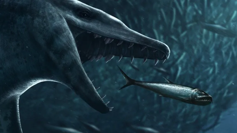 Artist's impression of a whale from the Lublin region hunting schooling fish. Credit: Marcin Ambrozik.