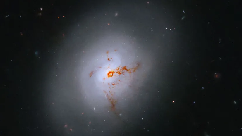 Zdjęcie galaktyki soczewkowatej NGC 1266 wykonane przez Kosmiczny Teleskop Hubble’a. Źródło: NASA, ESA, K. Alatalo (STScI); Przetwarzanie obrazu: G. Kober (NASA/Catholic University of America).