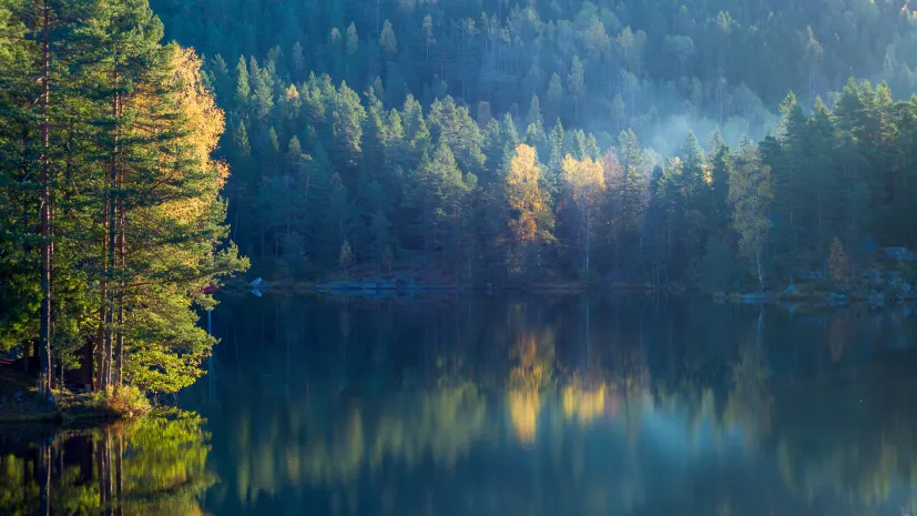 Fot. Adobe Stock