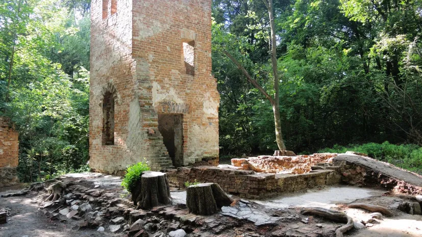Źródło: Muzeum Pałacu Króla Jana III w Wilanowie