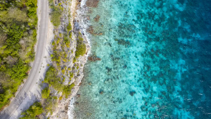 Fot. Adobe Stock