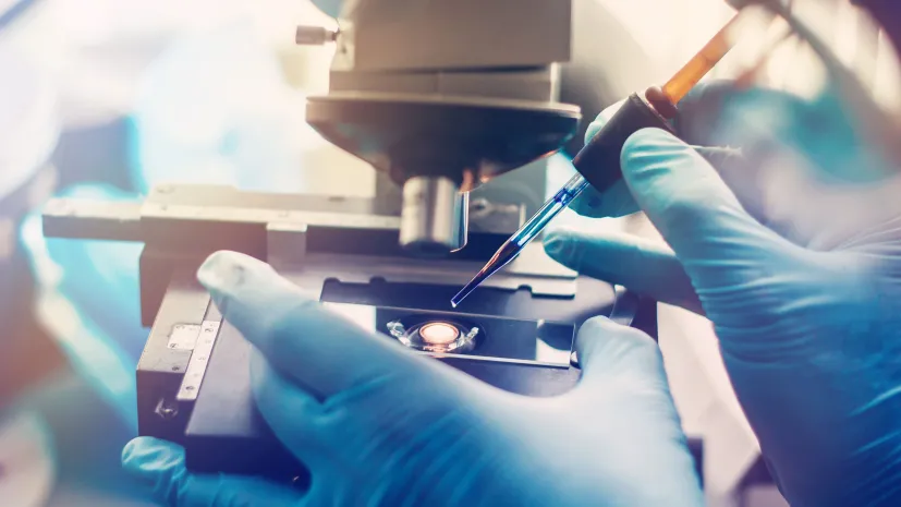 Fot. Adobe Stock